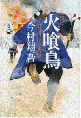观测详情示意图